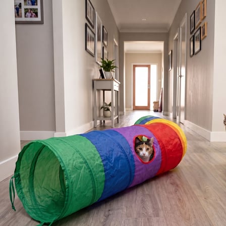 Kedi Oyun Tüneli 120 cm Çok Pencereli Katlanabilir Gökkuşağı Kedi Tüneli Oyuncaklı Ponponlu