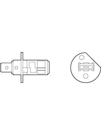 HALOGEN AMPUL 12V H1 DORT MEVSIM (10 ADET)