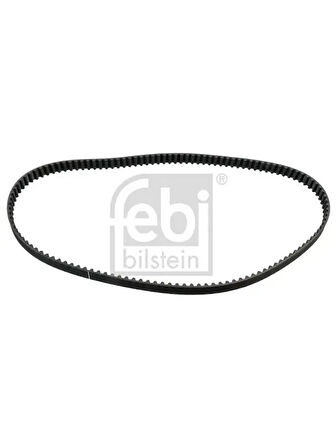 EKSANTRIK KAYISI (125SP190H) FLASH CLIO I LAGUNA I 1,8 R21 1,7