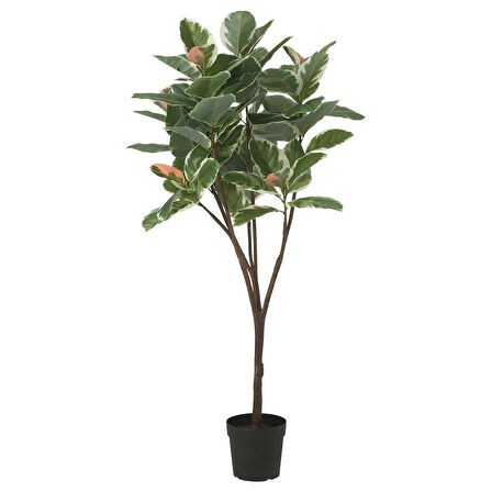 Yapay bitki, yeşil, 23 cm, kauçuk bitkisi, iç/dış mekan