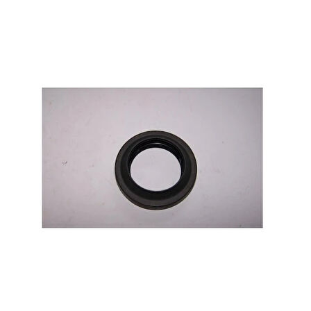 ÖN AKS KEÇESİ DUSTER 4104 331425961R