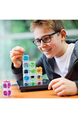 Gravity Maze Zeka Oyunu