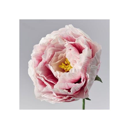 Yapay çiçek, beyaz-açık pembe, 50 cm, şakayık