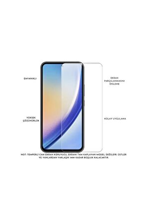 Samsung Galaxy A55 5G Uyumlu Pastel Renk Telefon Kılıfı Temperli Cam Ekran ve Kamera Koruyucu