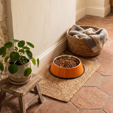 2 ADET Paslanmaz Çelik Kaymaz Taban Turuncu Kedi Ve Köpek Mama Kabı - Küçük Boy (13 CM - 300 ML)