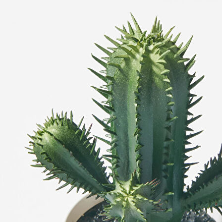 Yapay bitki, yeşil, 6 cm, kaktüs, iç/dış mekan
