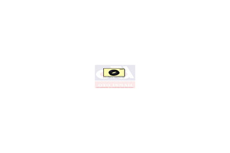 DİREKSİYON MİL BURCU R19 (5 ADET)