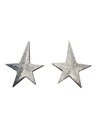 Göz Alıcı Gösterişli Gümüş Kaplama Yıldız Model Şık Çelik Uçlu VIP Bijuteri Küpe | Zarif ve Işıltılı