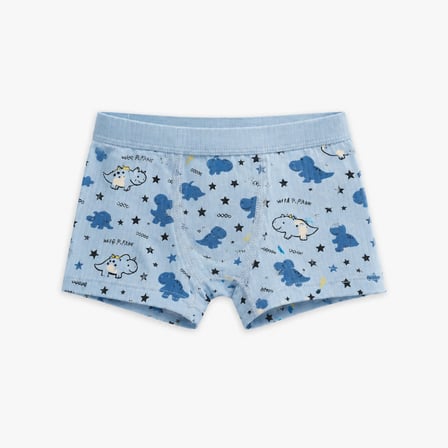 İntimo Erkek Çocuk Raporlu Desenli Boxer-Renkli-5.6 Yaş