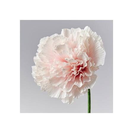 Yapay çiçek, beyaz, 40 cm, karanfil