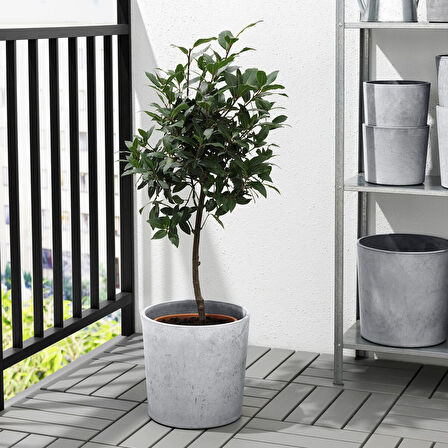 Beton saksı, açık gri, 24 cm, iç/dış mekan