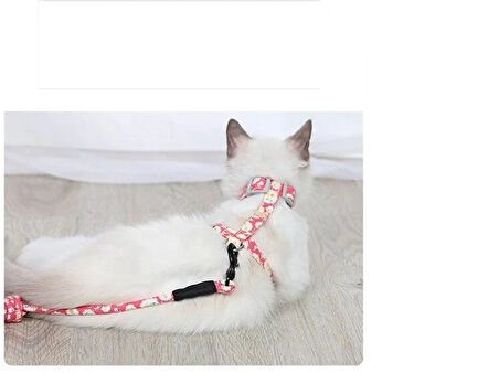 Kedi Gezdirme Göğüs Tasması 