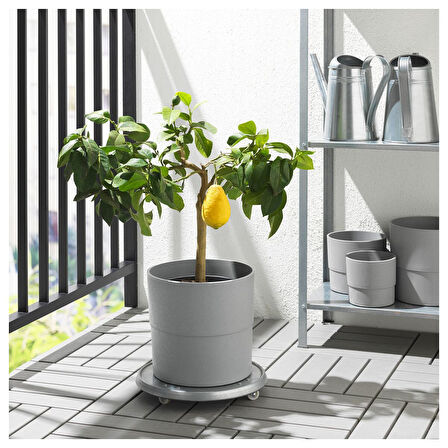 Plastik saksı, gri, 24 cm