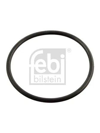O RING TERMOSTAT ICIN OMEGA (10 ADET)