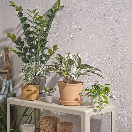 Yapay bitki, yeşil, 15 cm, dua çiçeği