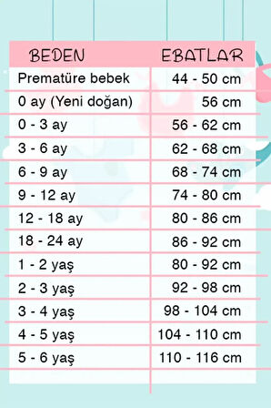 Melek Kanatlı % 100 Pamuk 5'li Kız Bebek Hastane Çıkış Seti