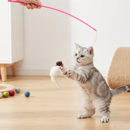BakGelAl Peluş Fareli Kedi Oltası – Esnek Çubuklu İnteraktif Hareketli Kedi Oyuncağı