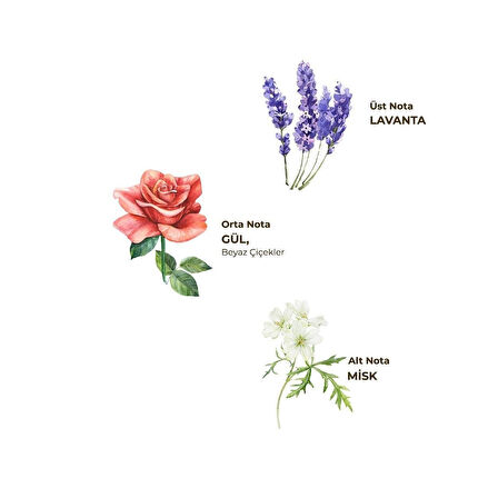 Eyüp Sabri Tuncer Kolonya Pet Şişe Sprey 150 ml Lavanta