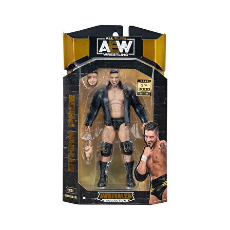 AEW 0001-S15 AEW Karakterleri Model Aksiyon Figür 18cm