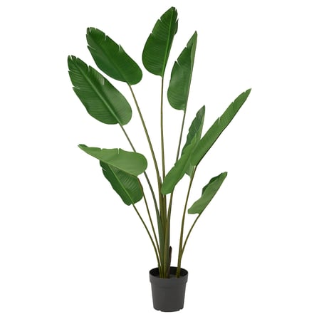 Yapay bitki, yeşil, 23 cm, Cennet kuşu, iç/dış mekan