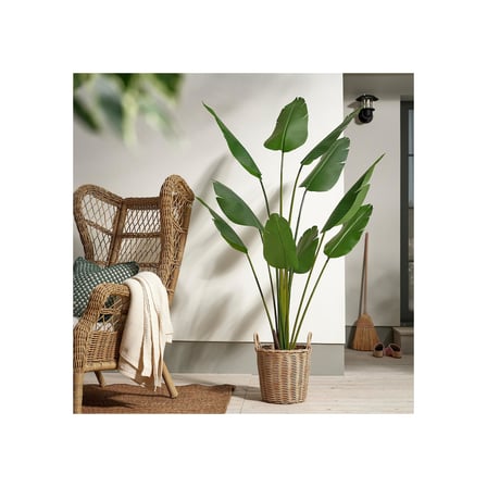 Yapay bitki, yeşil, 23 cm, Cennet kuşu, iç/dış mekan