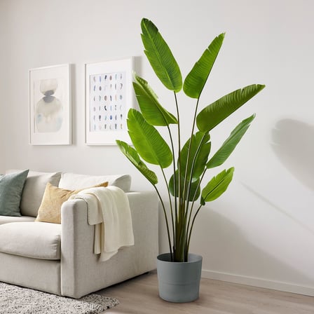 Yapay bitki, yeşil, 23 cm, Cennet kuşu, iç/dış mekan