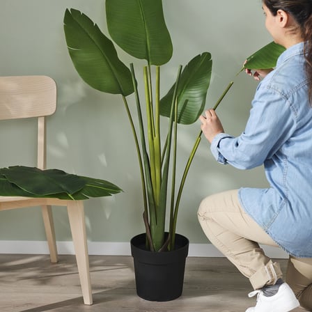 Yapay bitki, yeşil, 23 cm, Cennet kuşu, iç/dış mekan