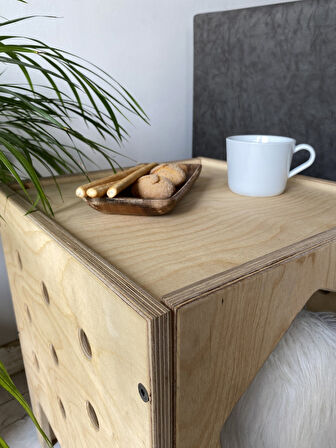 VETLE - Plywood Modern ve Fonksiyonel Pet Evi - Yan Sehpa