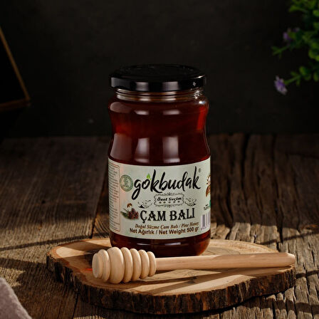 Gökbudak Ege Süzme Çam Balı 460 Gr