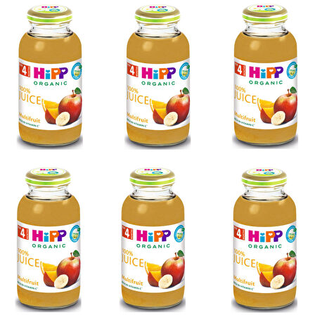 Hipp Organik Karışık Meyve Suyu 200 ml 6 ADET
