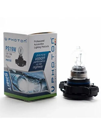 PS19W 12V