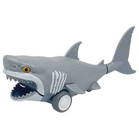 Sürtmeli Hayvanlar Serisi - H-53 - Köpekbalığı