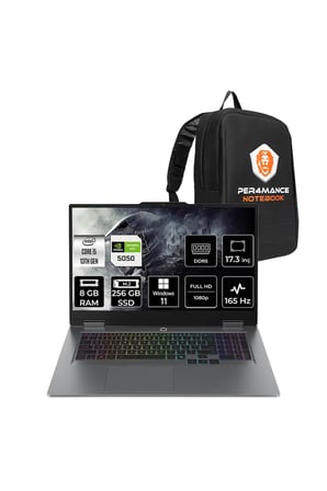 LOQ 17 i5-13450HX 8GB 256GB SSD RTX5050/8GB 115W 17.3" FHD 165Hz W11P Gaming Laptop