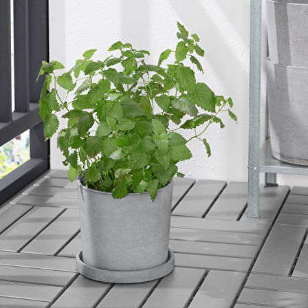 Saksı altlığı, açık gri, 19 cm