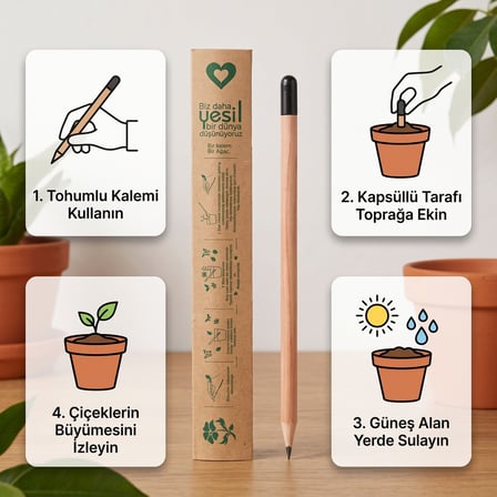 Doğada Çimlenen Yeşeren Kalem 10'Lu Set -  Tohumlu Kurşun Kalem