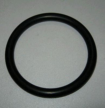 GAZ KELEBEK ORİNGİ ARKAYA GELEN - MEGANE 1/1.6/165 8200068583