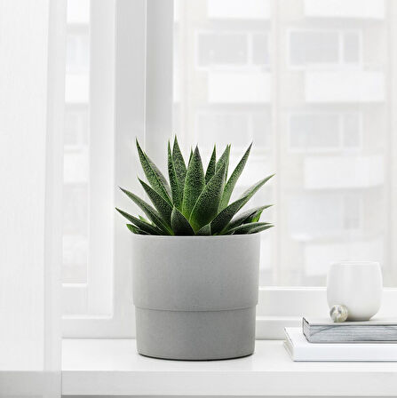 Plastik saksı, gri, 15 cm