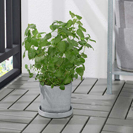 Saksı altlığı, açık gri, 15 cm