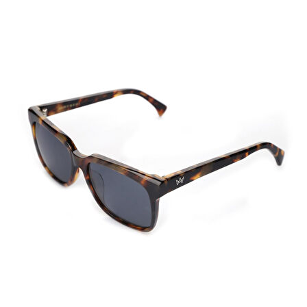 AM EYEWEAR A M HANLON CT 80-ST-GR-K KADIN GÜNEŞ GÖ