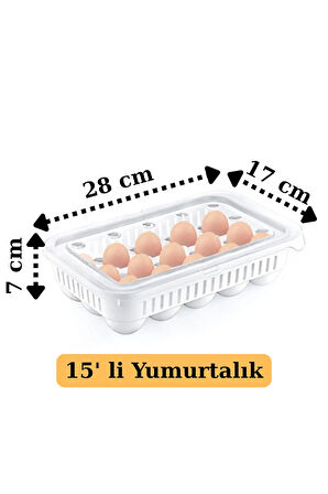 Yumurta saklama kabı 15'li 1 adet , Steril yumurtalık, Kapaklı yumurta organizeri