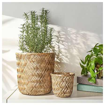 Bambu saksı, bambu, 24 cm