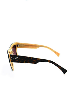 AM EYEWEAR AM JJ GORDON 70 DB BRG KADIN GÜNEŞ GÖZL