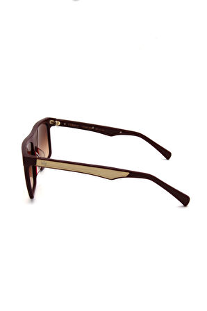 AM EYEWEAR AM COBSEY2 105 80 BRG KADIN GÜNEŞ GÖZLÜ