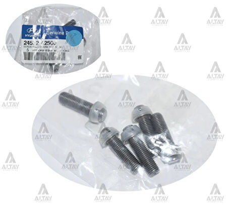 CİVATA SUPAP AYAR H-100 / KMY / L-300 PLASTİK UÇ 24532 42500 (5 ADET)