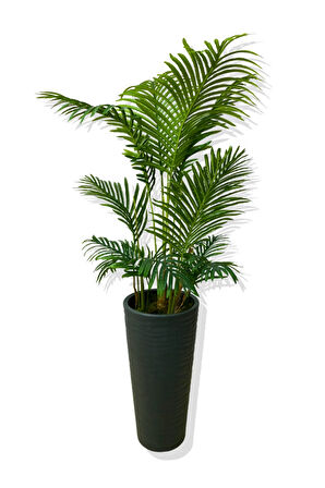 AREKA 150 CM 12 YAPRAK YAPAY AĞAÇ 56X30X20 ANTRASİT KUMSAL SAKSI