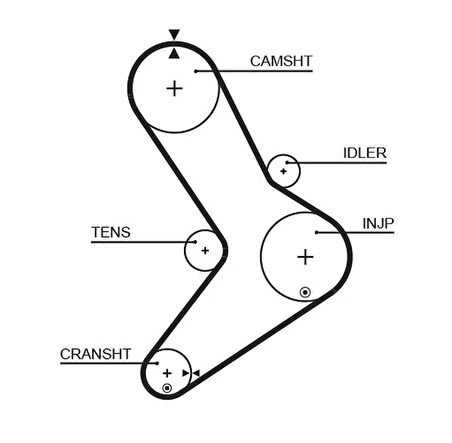 TRİGER KAYIŞI 152X300 MOVANO-MASTR 2.5D 152 DİŞ GD152H95P300 CT1038 7701043483 4401429 0816 E5