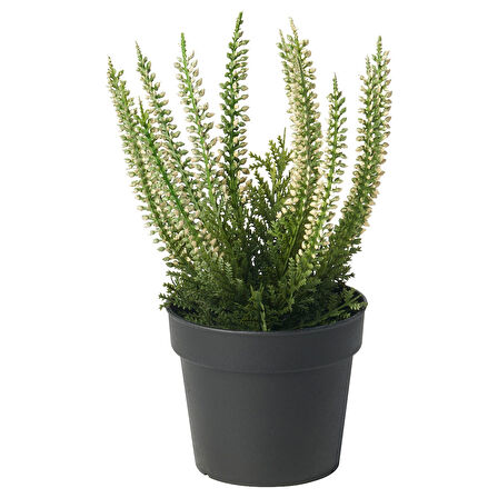 Yapay bitki, yeşil, 9 cm, funda, iç/dış mekan