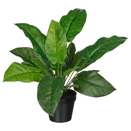 Yapay bitki, yeşil, 12 cm, Dua çiçeği, iç/dış mekan