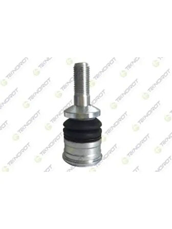 ROTIL YAN ALT W205 14 C205 18 S205 14 W213 16 S213 16 A238 17 C238 16
