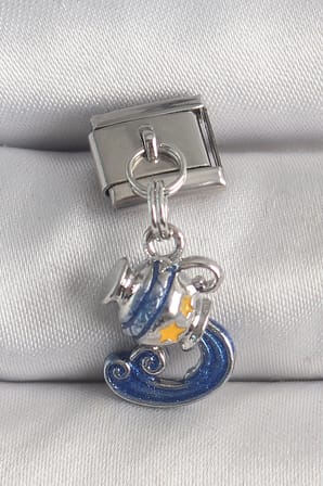 316L Çelik Gümüş Renk Sallantı Kova Burç Model Nomination Charm